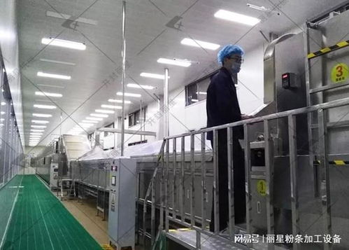 洋芋粉絲粉條機選購指南 性能、服務、價格如何權衡，告別后悔選擇